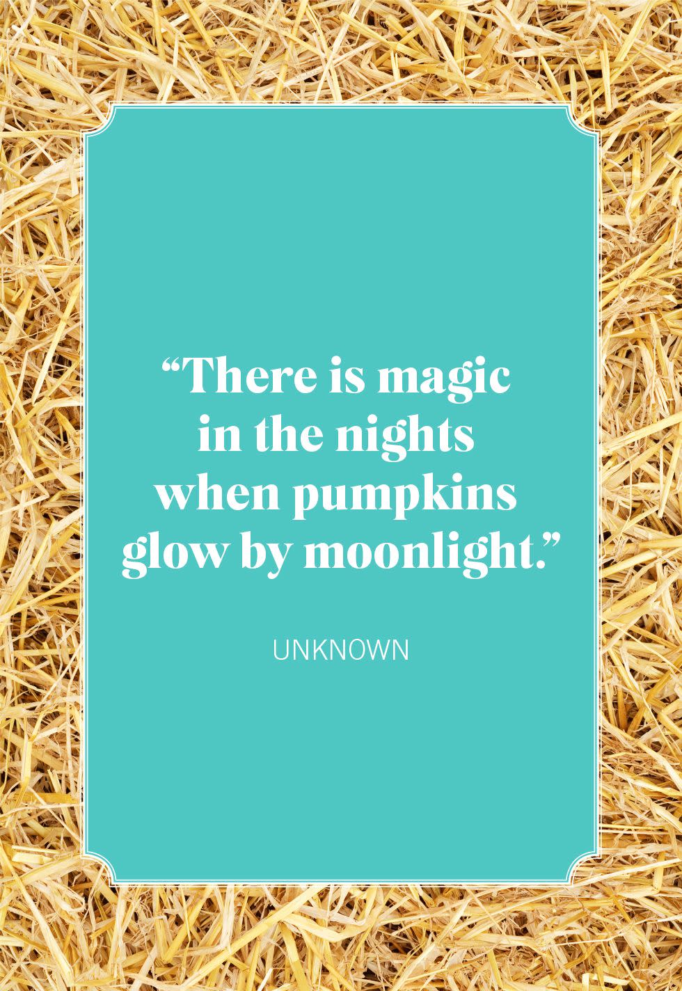 pumpkin quotes