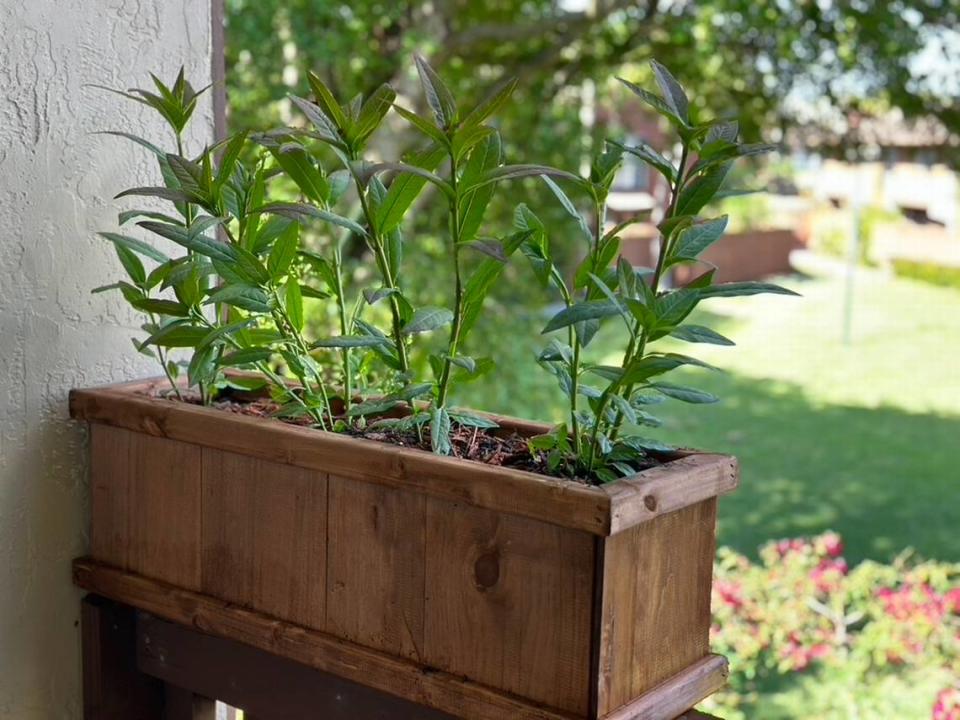 Una jardinera en la barandilla del balcón puede ser un bonito complemento para una casa. También puede convertirse en un misil en caso de huracán. Llévala al interior cuando oiga las alertas del servicio meteorológico o del centro de huracanes.