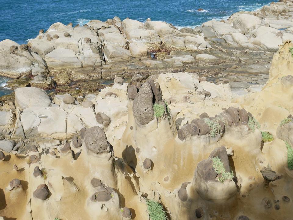 和平島公園豬腳岩(Photo via Wikimedia, by 寺人孟子, License: CC BY-SA 4.0，圖片來源：https://zh.wikipedia.org/wiki/File:再拍和平島公園豬腳岩_20190804.jpg)