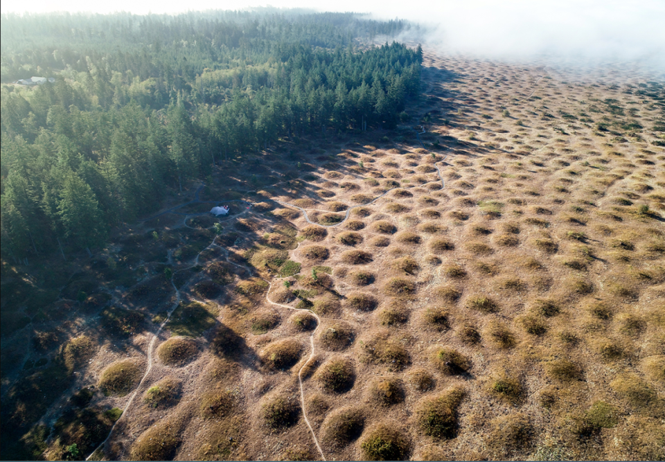 Mima Mounds are one of Washington’s enduring geologic mysteries. Washington Department of Natural Resources