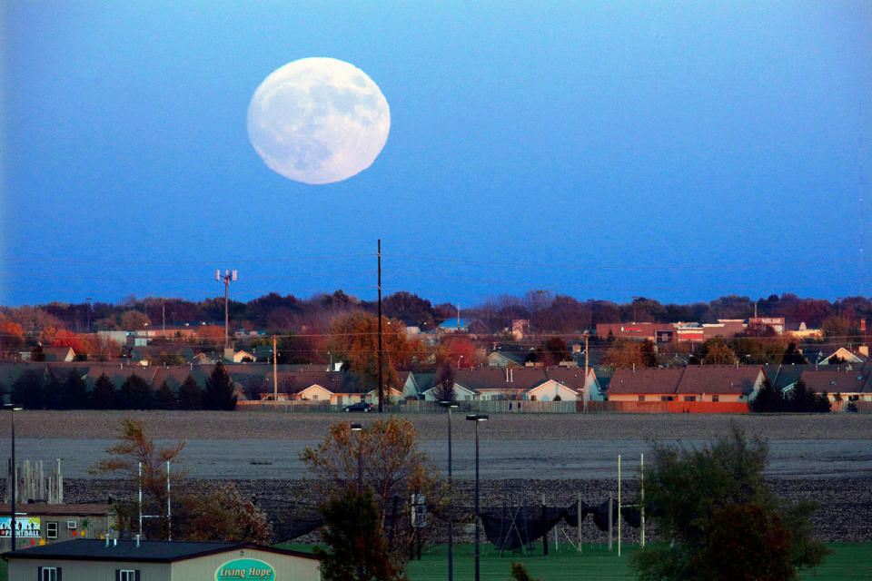La luna sube más allá de Springfield, Illinois, el domingo, 13 de noviembre de 2016. El lunes la luna llena será la más cercana a la tierra desde 1948, y no será tan cerca de nuevo hasta 2034. (AP Photo / Seth Perlman )