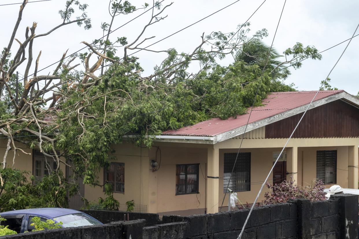 A tree lies on the roof of a house in Kingstown, the capital of St. Vincent and the Grenadines.