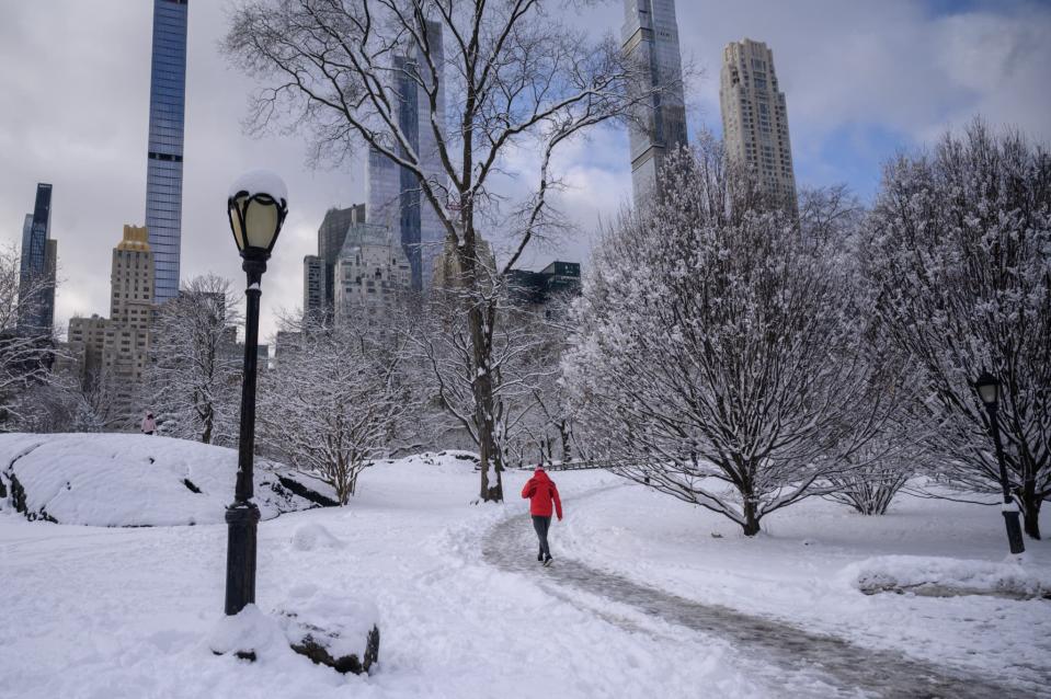Central Park sous la neige le 7 janvier 2022 &#xe0; New York - ED JONES / AFP