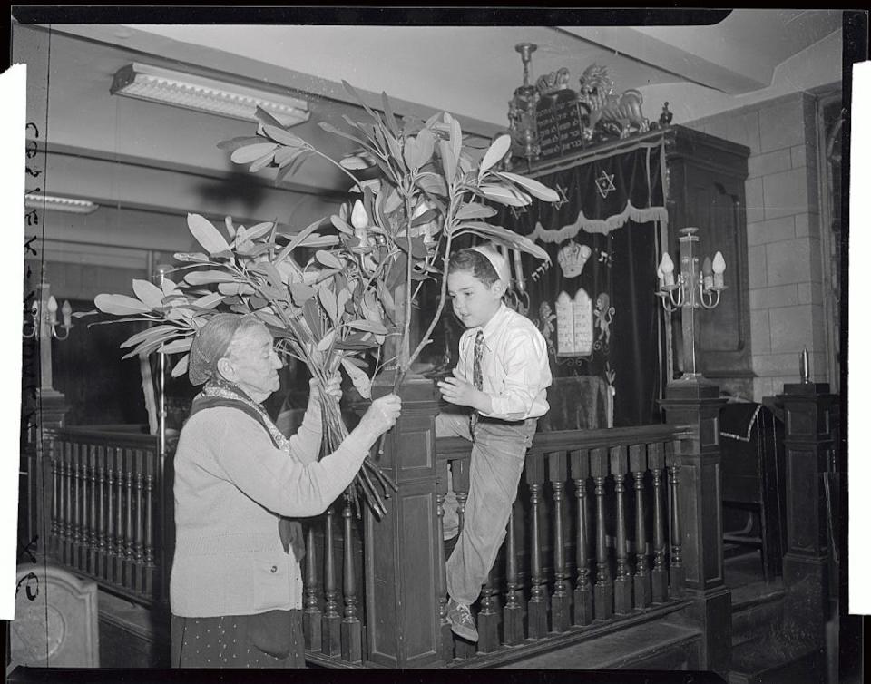 Esther Zolkowitz, 90, passes green branches imported from Israel to 7-year-old Allen Mayer as they decorate for Shavuot in 1952. <a href="https://www.gettyimages.com/detail/news-photo/tomorrow-at-sundown-begins-the-traditional-holiday-of-news-photo/516560616?adppopup=true" rel="nofollow noopener" target="_blank" data-ylk="slk:Bettmann via Getty Images;elm:context_link;itc:0;sec:content-canvas" class="link ">Bettmann via Getty Images</a>