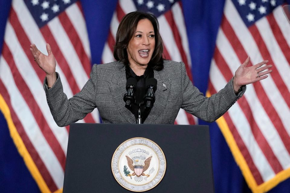 Kamala Harris speaks to a crowd (AP)