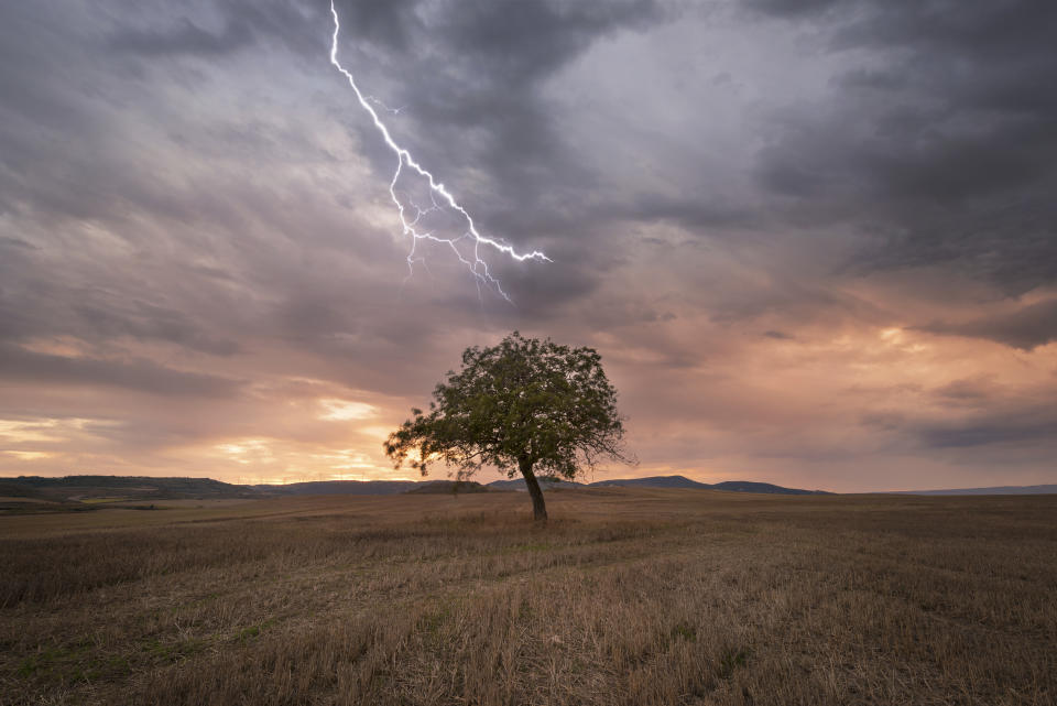 Ist ein Baum ein sicherer Ort bei einem Gewitter? (Symbolbild: Getty)