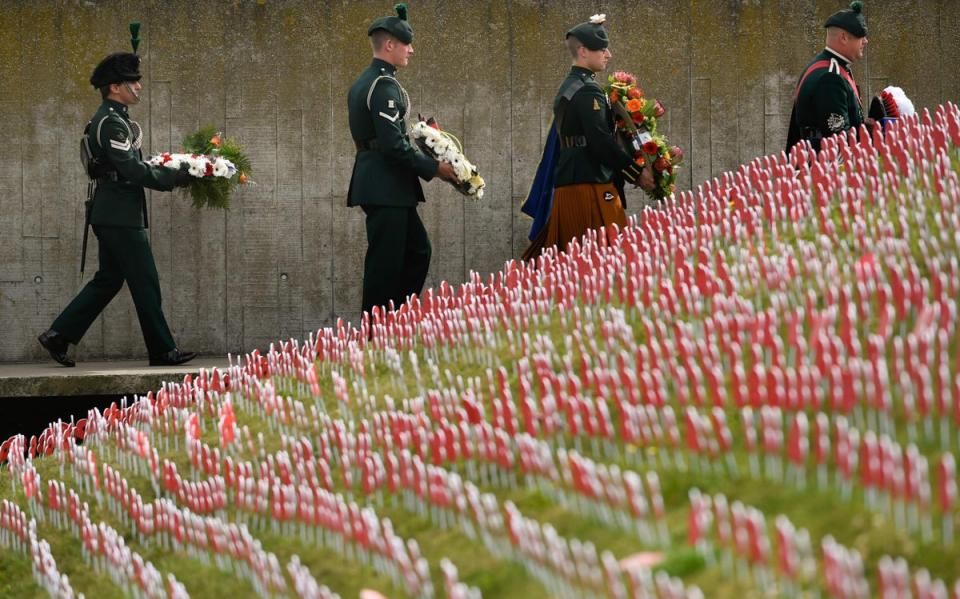 Poppies grow in Flanders Fields (AFP/Getty Images)