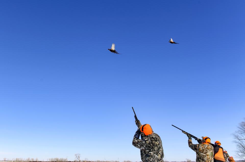 Veterans take aim at pheasants as they fly overhead on a Wings of Valor retreat on Friday, February 17, 2023, in Parker, SD.