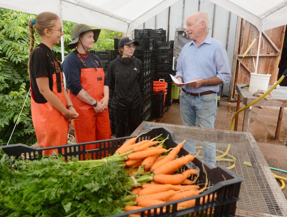 U.S. Rep. Joe Courtney talks with Cloverleigh Farm employees, from left, Sarah Medeiros, 23, Hali Pregnall, 24, and Nicole Molloy, 25, as they take a break from bundling organic carrots Wednesday at the farm in Columbia.