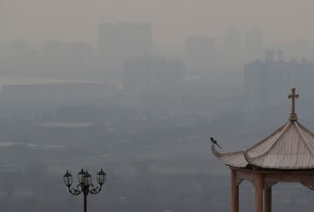 A bird is seen on the top of a pavilion in heavy smog in Qingxu, China's Shanxi province, December 24, 2016. REUTERS/Jason Lee