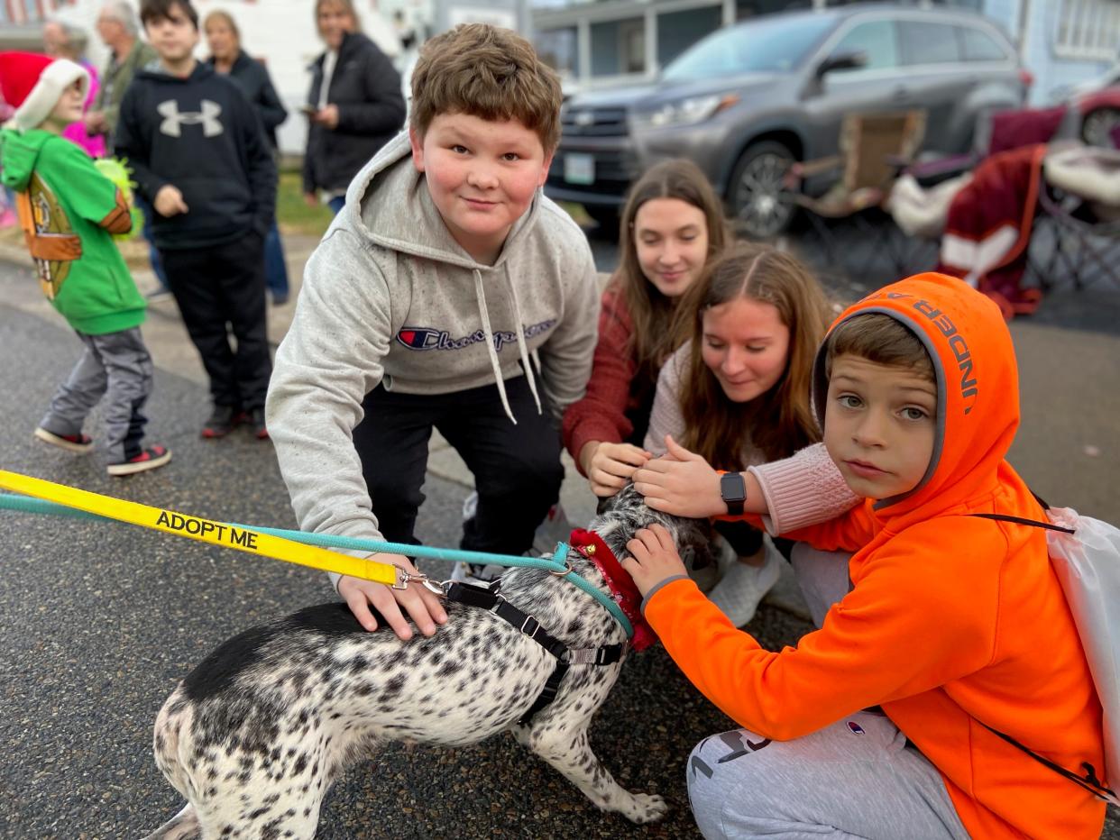 Children pet one of the shelter dogs up for adoption from Shenandoah Valley Animal Services Center during the Stuarts Draft Christmas Parade on Saturday, Dec. 11, 2021.