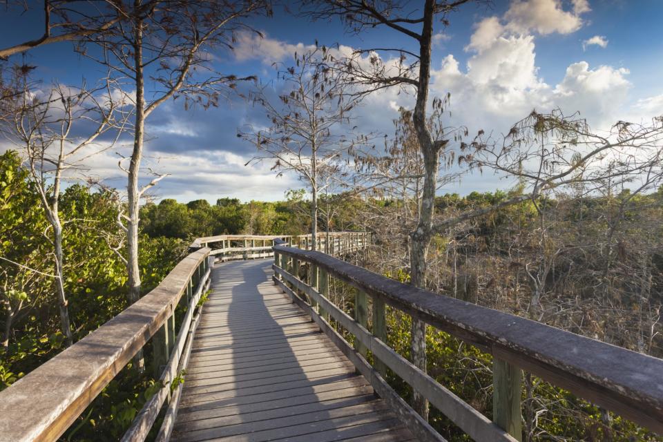 Bobcat Boardwalk Trail