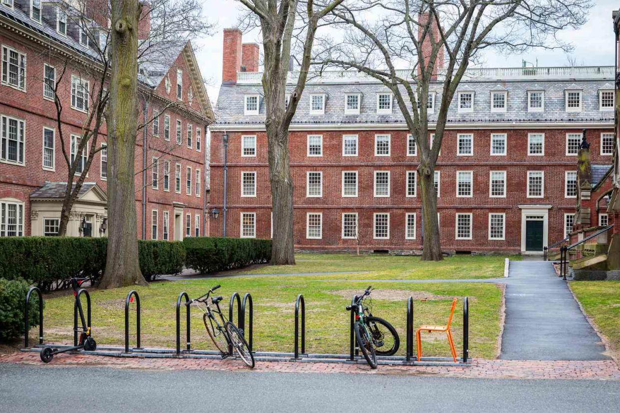 <p>Getty</p> Harvard University in Cambridge, Massachusetts