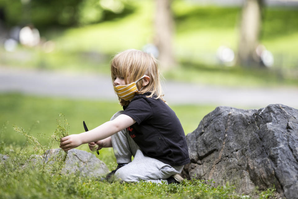 MANHATTAN, NY - MAY 24: On Memorial Day weekend a child wears a mask (personal protective equipment) while taking a plastic knife to some overgrown grass in Central Park.  On May 24, New York State Governor Andrew Cuomo states that New York State is decidedly in the reopening stage and that residents can help the reopening by wearing personal protective equipment to prevent more outbreaks of the Coronavirus pandemic.  Photographed in Central Park in the Manhattan borough of New York on May 24, 2020, USA.  (Photo by Ira L. Black/Corbis via Getty Images)