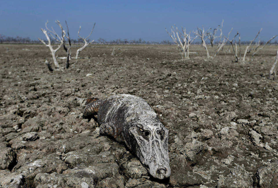 A slow death along the Pilcomayo River