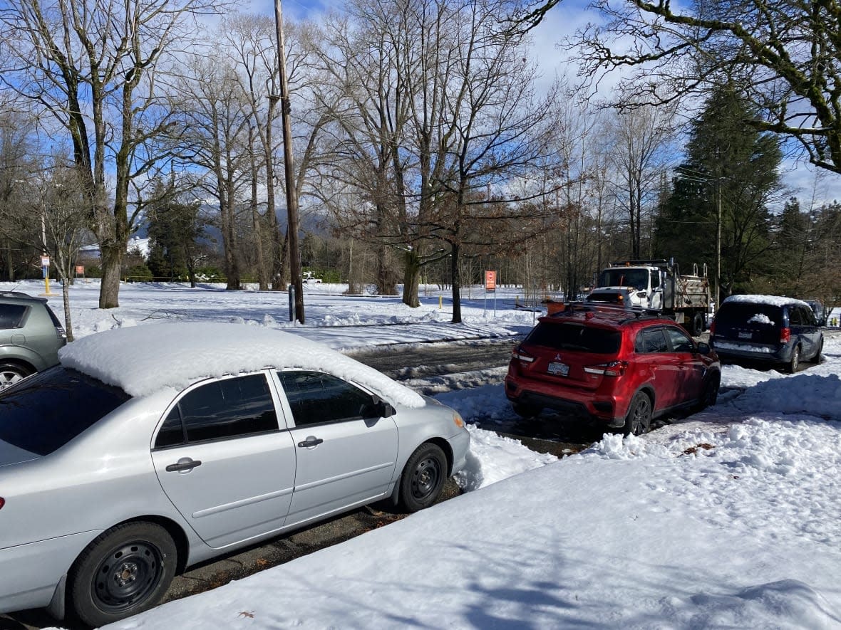 Snow blanketed the Lower Mainland Sunday morning. Photo taken in East Vancouver.  (Liam Britten/CBC News - image credit)