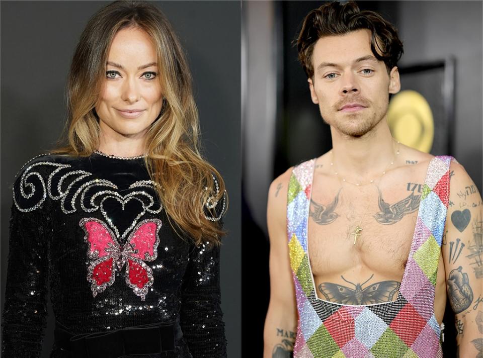 Olivia Wilde, Harry Styles