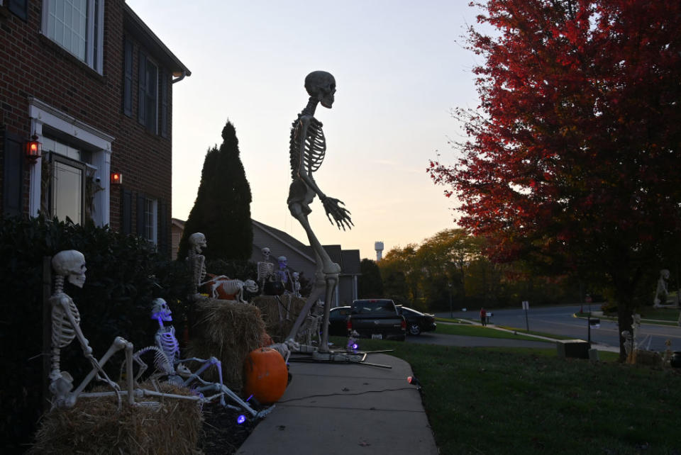 giant skeleton towering over smaller ones in someone's yard