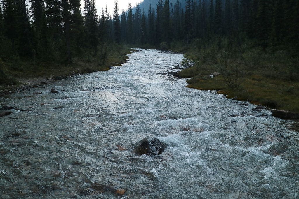 river flowing through Canadian Rockies