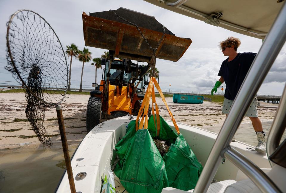 Salvatore Cuccia, 21, waits as a front loader picks up a bag of dead fish June 17 in Dunedin, Fla. Pinellas County had small boats retrieving dead fish in Dunedin and around Clearwater Harbor. The fish kill is attributed to a red tide bloom.