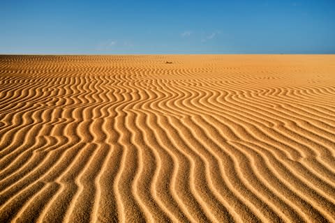 The dunes of the Parque Natural Corralejo - Credit: istock