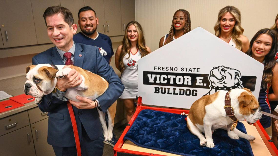 Fresno State President Dr. Saúl Jiménez-Sandoval, left, holds Victor E. Bulldog IV while standing near cheerleaders and Victor E. Bulldog III after Victor IV was introduced as Fresno State University’s newest live mascot during a press conference at the Smittcamp Alumni House at Fresno State on Tuesday, Nov. 29, 2022. Victor E Bulldog IV will officially take over for the retiring Victor E. Bulldog III during a changing of the collar ceremony in the spring.