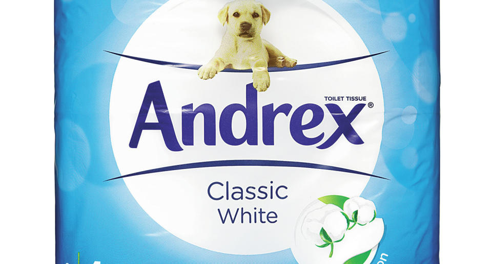 Andrex.  (Which?/PA Media)