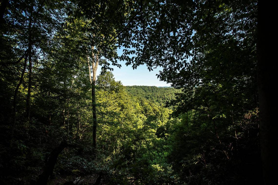 This is the view from property close to the Natural Bridge State Park, in Powell County, Ky.