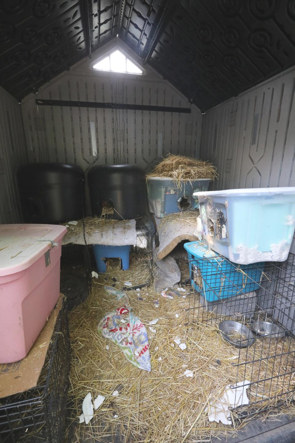 A shed used to house feral cats at the Hi Tor Animal Care Center in Ramapo Sept. 22, 2023.