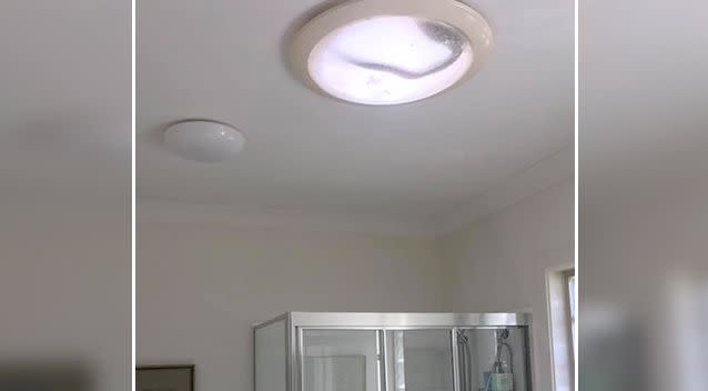 Terrifying moment two pythons crash through skylight and battle each other  in woman's shower