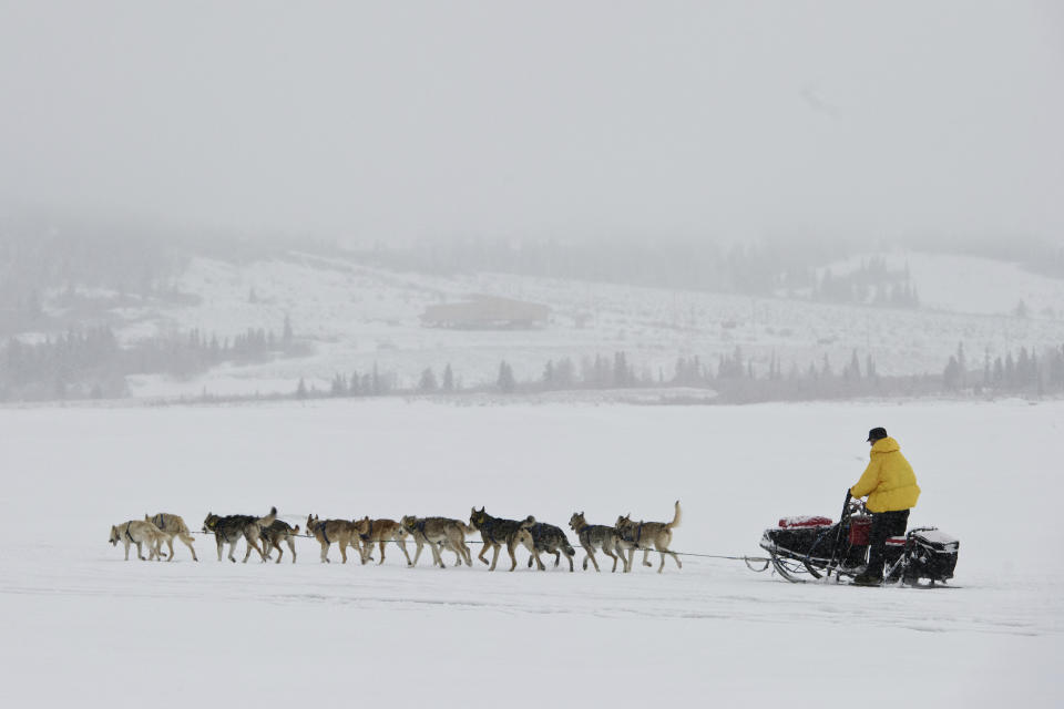 In this Monday, March 11, 2019 photo, musher Linwood Fiedler leaves Unalakleet, Alaska, during a snowfall in the Iditarod Trail Sled Dog Race on March 11, 2019 (Marc Lester/Anchorage Daily News via AP)