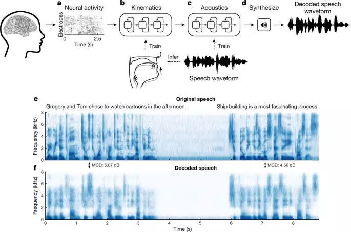 Nature重磅：華裔科學家成功解碼腦電波，AI直接從大腦中合成語音