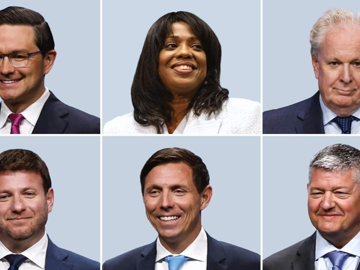 Conservative leadership candidates, top row from left, Pierre Poilievre, Leslyn Lewis, Jean Charest; and bottom row from left, Roman Baber, Patrick Brown, Scott Aitchison. (CP, CBC, CP, CP, CP, CP - image credit)