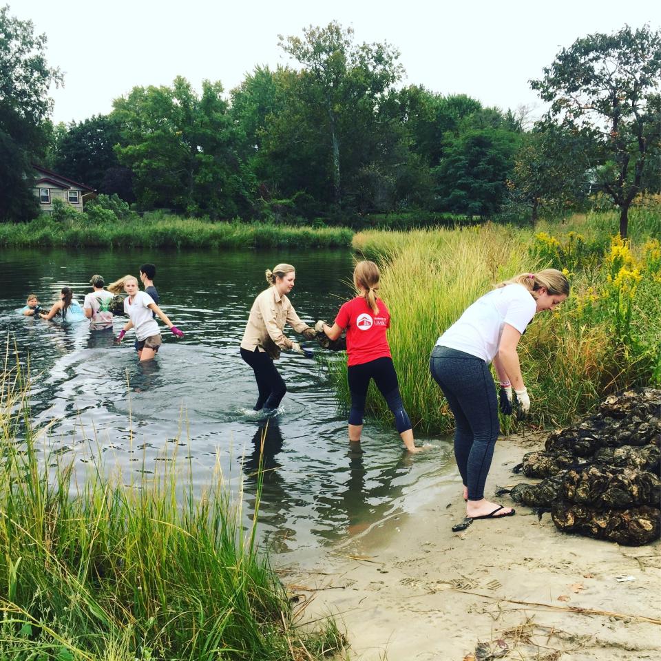 The Oyster Restoration Partnership conducts a slate of programs to create and manage healthy oyster beds to both create a cleaner Chesapeake Bay and its tributaries and help sustain a vital component to the watermen economy in the state.