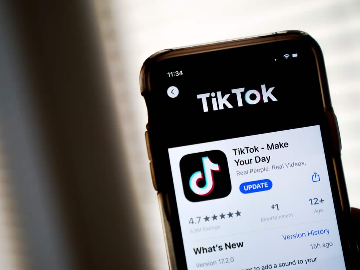 Educators are diving into TikTok, the social media space beloved by tweens and teens, specifically to reach them and teach them. However, some experts are concerned over its use amid narrowing attention spans. (Drew Angerer/Getty Images - image credit)