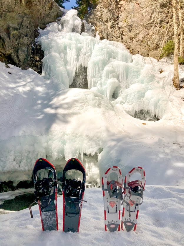 'If you go out after a fresh snow and you go snowshoeing and the woods are silent, and you can see the tracks from animals … it's a different experience than in the summer,' says Donald.