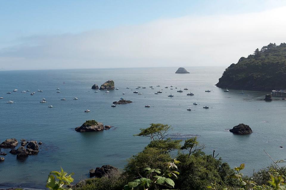 Scenic view of Pacific Ocean, Trinidad, California