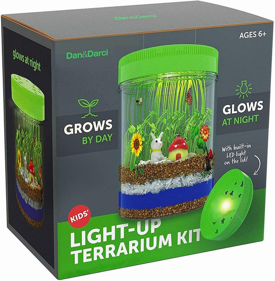 Light-up Terrarium Kit. Image via Amazon.