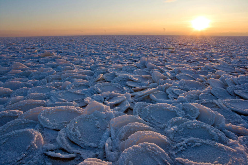 Under a setting sun, these strange ice sculptures stretch out as far as the eye can see. While it may look like thousands of pancakes lightly dusted by icing sugar, they are in fact natural ice formations moulded into shape by harsh winter conditions on the surface of Lake Onega, Western Russia (Caters)