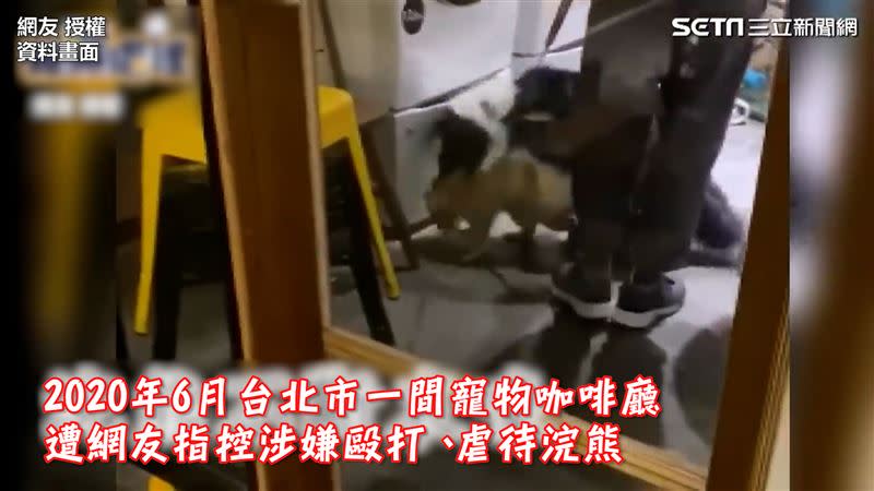 今年6月台北市一間知名寵物咖啡廳遭網友指控涉嫌虐待浣熊。（圖／最近紅什麼 授權）