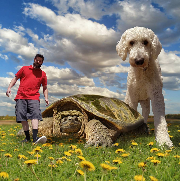 <p>Juji sur une tortue géante, ça donnerait quoi ? (<em>Photo Instagram : @christophercline</em>) </p>