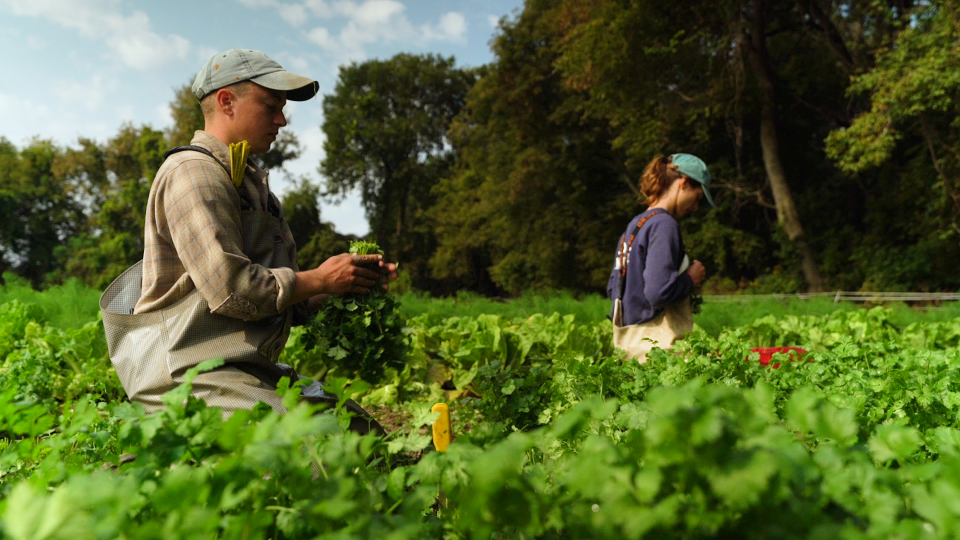 Farmers Loach Sample, left, and Naomi Peduzzi of Diggers' Mirth Collective Farm on Sep. 25, 2023.