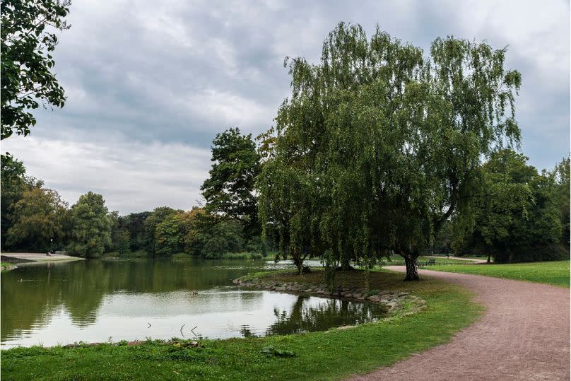 Kungsparken is a popular picnic spot among locals