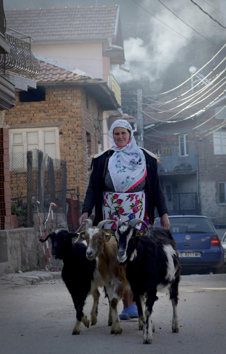 A woman walks her goats in the village of Ribnovo, Bulgaria, Sunday, April 11, 2021. Despite the dangers associated with COVID-19 and government calls to avoid large gatherings, Hundreds of people flocked to the tiny village of Ribnovo in southwestern Bulgaria for a four-day festival of feasting, music and the ritual of circumcision which is considered by Muslims a religious duty and essential part of a man's identity. (AP Photo/Jordan Simeonov)