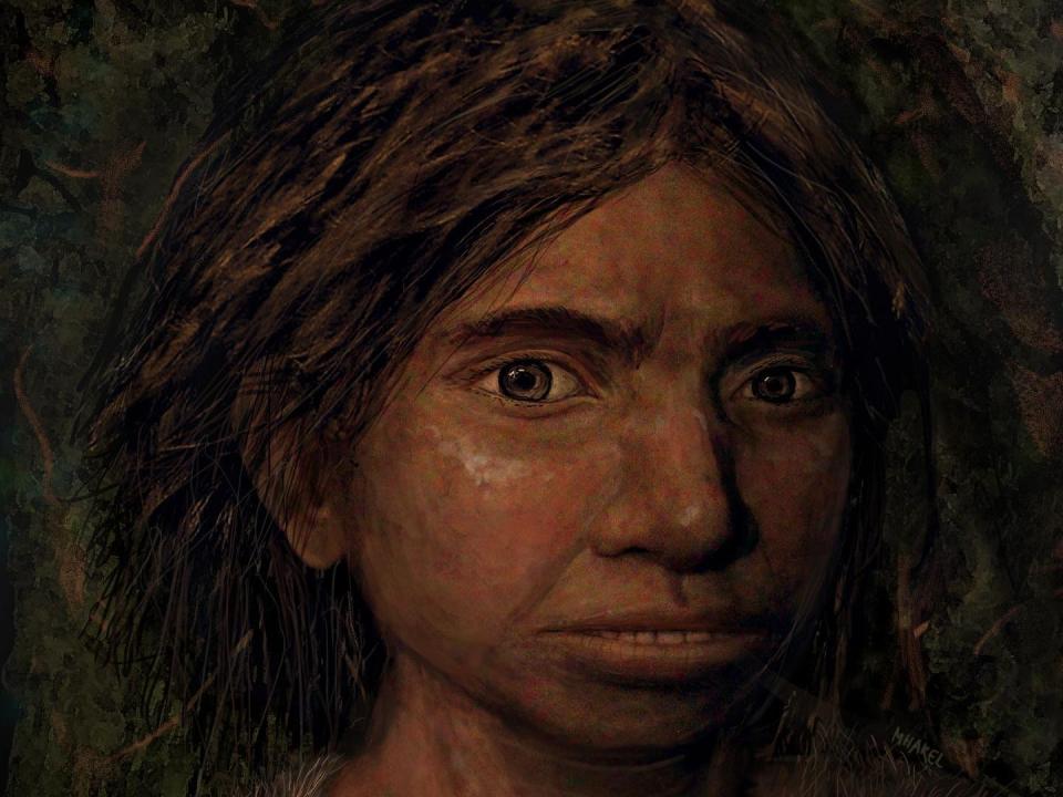 A reconstructed image of a female Denisovan's face.