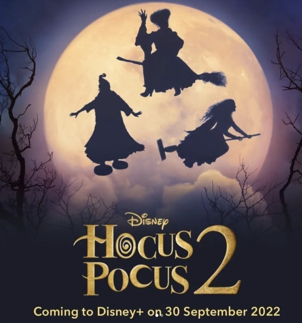 disneyplus.com