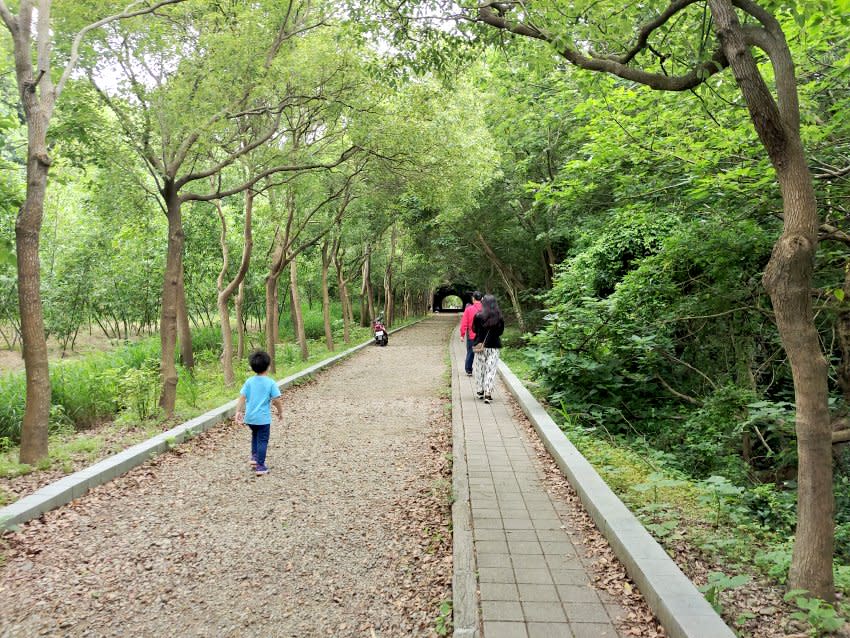 苗栗竹南｜子母隧道 、崎頂車站