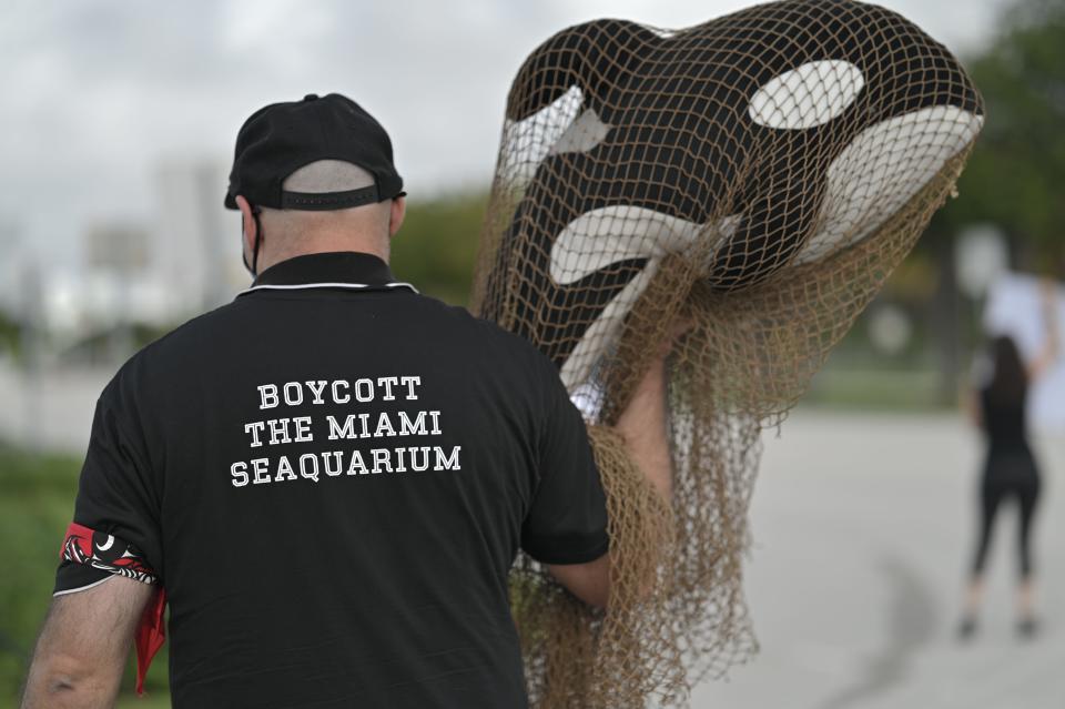 Protestors in front of the Miami Seaquarium call for a boycott.