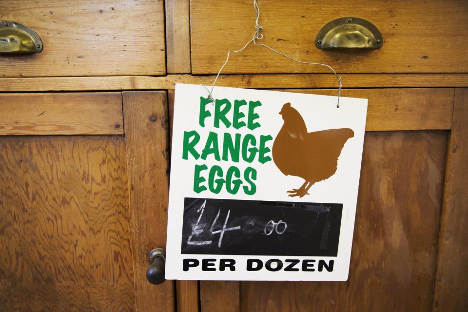 Free-Range