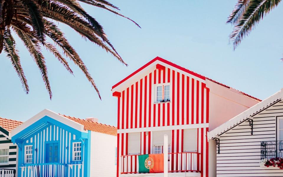 colourful red and white striped house next to blue and white house against blue skies and palm trees - Moment RF /Carol Yepes 